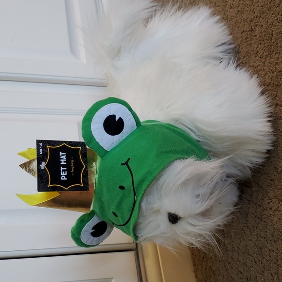 Pet Dog Halloween Parade Costume Hat - Frog Prince King Size Med/Large NWT - Picture 2 of 2